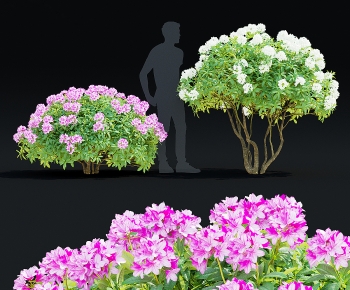 Modern Shrubbery-ID:312414889