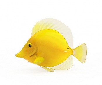 Modern Aquatic Animals-ID:281800038