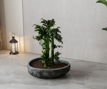 New Chinese Style Bonsai-ID:219652893