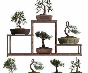 New Chinese Style Bonsai-ID:505312925