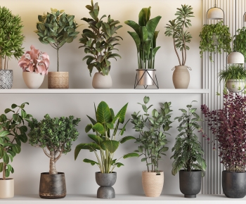 Modern Ground Green Plant Potted Plants-ID:360739271