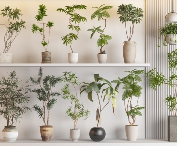 现代落地绿植盆栽组合-ID:571799044