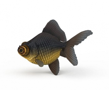 Modern Aquatic Animals-ID:878415114