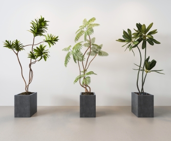 Modern Ground Green Plant Potted Plants-ID:219969999