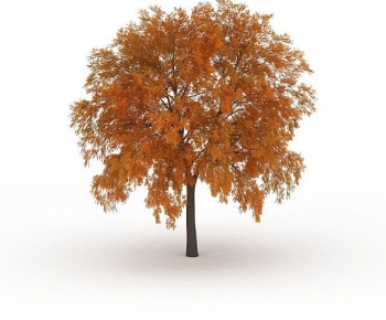 Modern Tree-ID:157265906