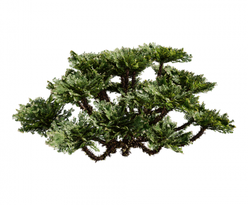 Modern Tree-ID:891937978