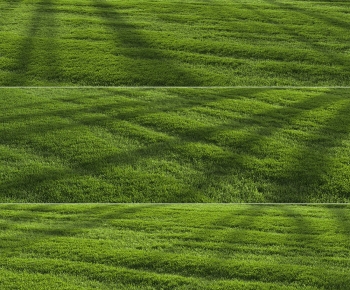 Modern The Grass-ID:827667004