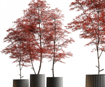Modern Ground Green Plant Potted Plants-ID:256382947