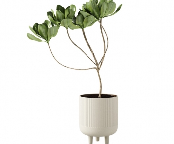 Modern Ground Green Plant Potted Plants-ID:323798891