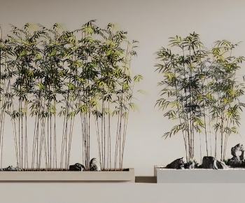 Modern Plant Landscaping-ID:170480015