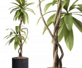 Modern Ground Green Plant Potted Plants-ID:139870631