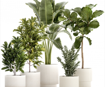 Modern Ground Green Plant Potted Plants-ID:723593957