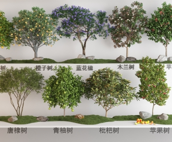 Modern Tree-ID:342829946