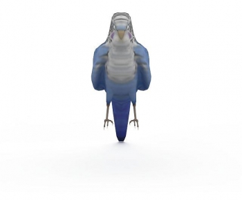 Modern Flying Animals-ID:754143008