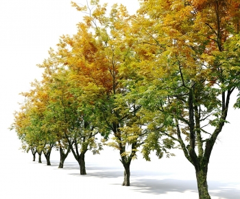 Modern Tree-ID:881926063