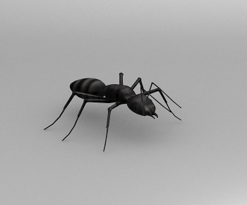 Modern Other Animals-ID:807949073