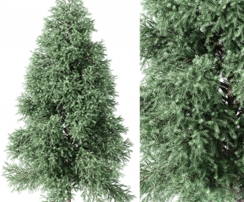 Modern Tree-ID:317390922