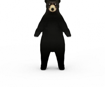 Modern Mammal-ID:742900422