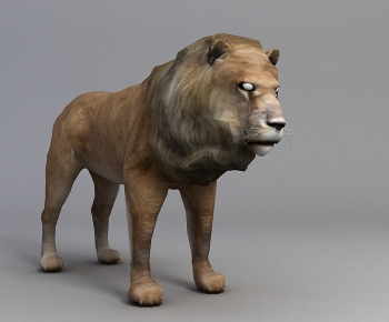 Modern Mammal-ID:192368989