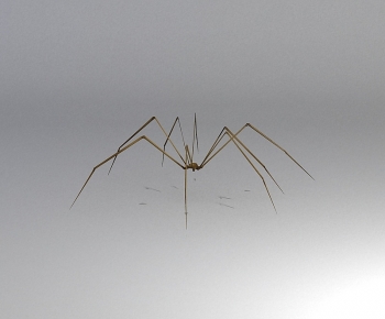 Modern Reptile-ID:870194913