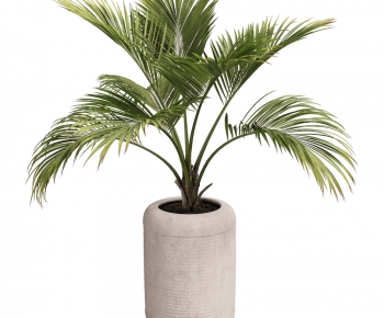 Modern Ground Green Plant Potted Plants-ID:250113966