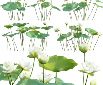 Modern Flowers And Grass-ID:681878097