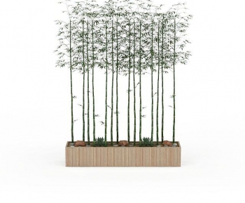 Modern Bamboo-ID:553760591
