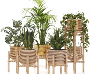 Modern Ground Green Plant Potted Plants-ID:148988965