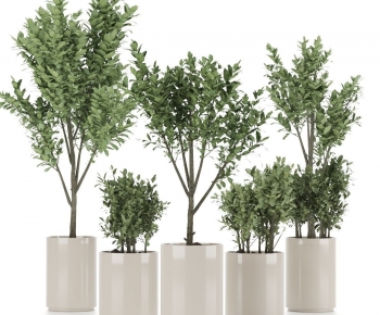 Modern Ground Green Plant Potted Plants-ID:858330013