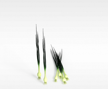 Modern Vegetables-ID:381824973