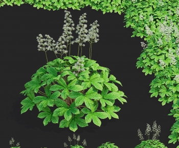 Modern Shrubbery-ID:855626113