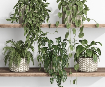 Modern Potted Green Plant-ID:973336947