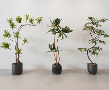 Modern Ground Green Plant Potted Plants-ID:199635034