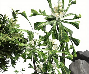 Modern Garden-ID:966300019