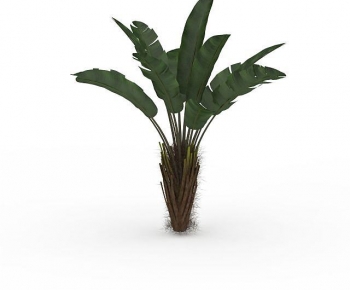 Modern Plant-ID:947449922