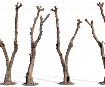 Modern Tree-ID:199098112