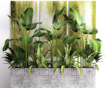 Modern Flower Bed, Flower Bowl, Flower Box-ID:236324071