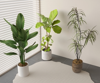 Modern Ground Green Plant Potted Plants-ID:305883886