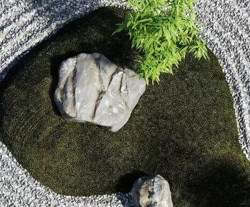 Modern Garden-ID:779870033