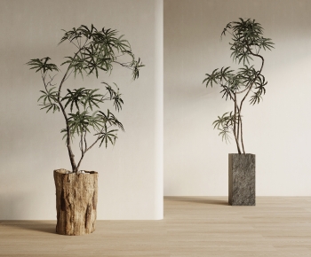 Modern Ground Green Plant Potted Plants-ID:427793987