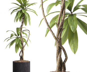 Modern Ground Green Plant Potted Plants-ID:548579933