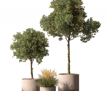 Modern Ground Green Plant Potted Plants-ID:617801901