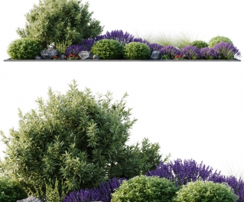 Modern Plant Pile-ID:272443067