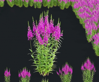 Modern Flowers And Grass-ID:223759899