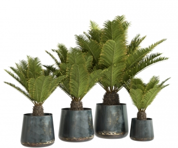 Modern Ground Green Plant Potted Plants-ID:598023893