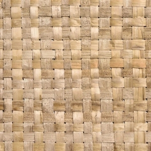 ModernRattan Texture