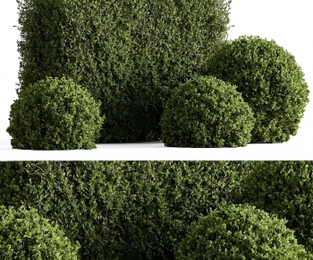 Modern Shrubbery-ID:362087978