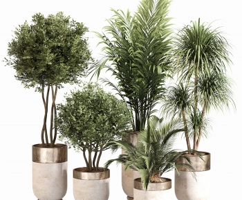 Modern Ground Green Plant Potted Plants-ID:298150069