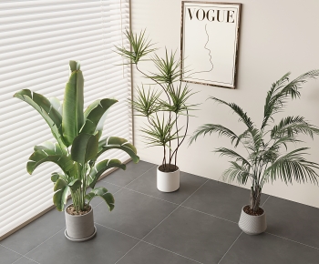 Modern Ground Green Plant Potted Plants-ID:963138103