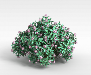 Modern Shrubbery-ID:442656998